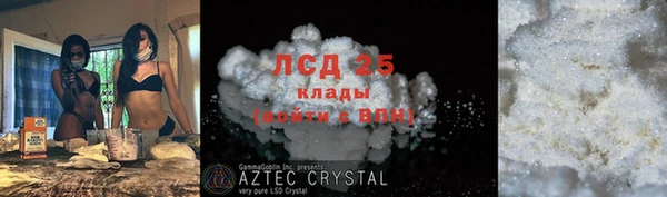 стаф Баксан